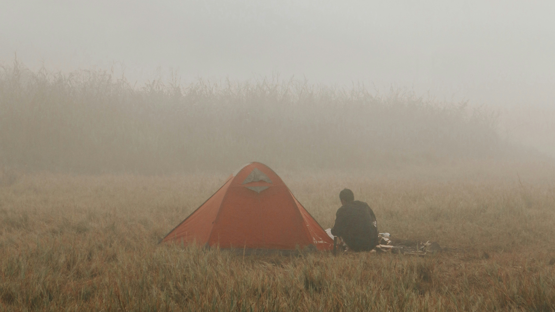 Mountains in mist